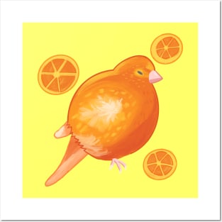 Orange Canary Posters and Art